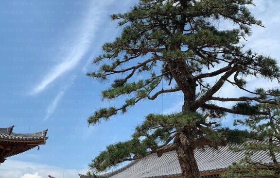 福建泉州古建专家设计团队，承接福建泉州寺院仿古建装修与效果图绘制