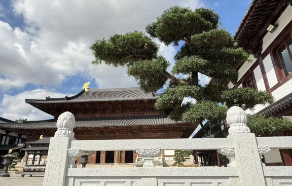 北京道观建筑群工程，北京设计与施工一体化专家全程服务