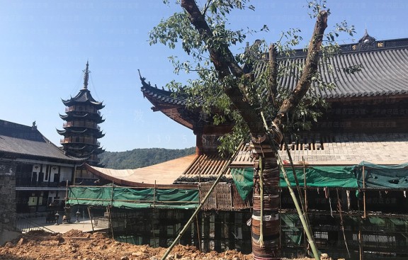 寺院园林化布局经典案例深度解析与借鉴