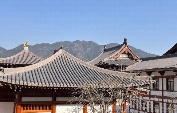 镇江靠谱寺庙施工队 案例丰富，欢迎考察