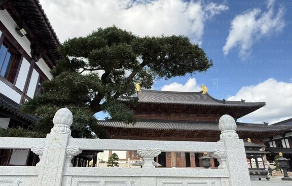 古建筑公司制作道观设计效果图，并完成整体施工及方案