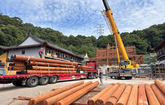 提供寺庙整治鸟瞰图及施工图，报方案，整治寺院建筑环境