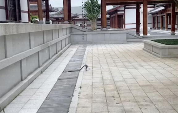 辽宁道观整体效果图制作，鞍山设计与施工团队匠心出品