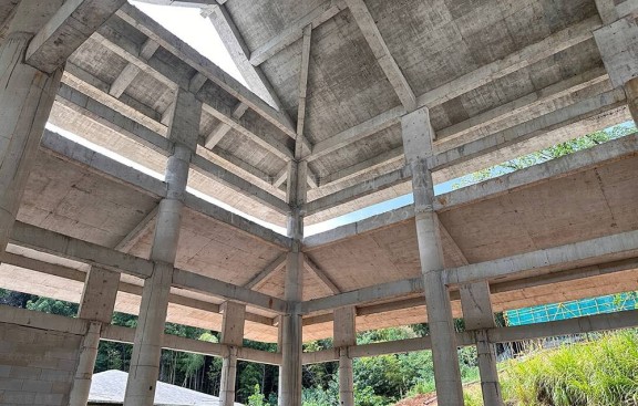 宁波道教宫观设计师，承接道教园林施工图设计任务