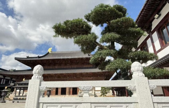 浙江嘉兴古建筑营造服务，设计与施工总包方案，地标项目高效落地